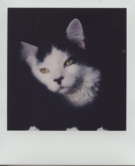 Untitled Untitled