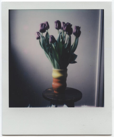 Untitled Untitled