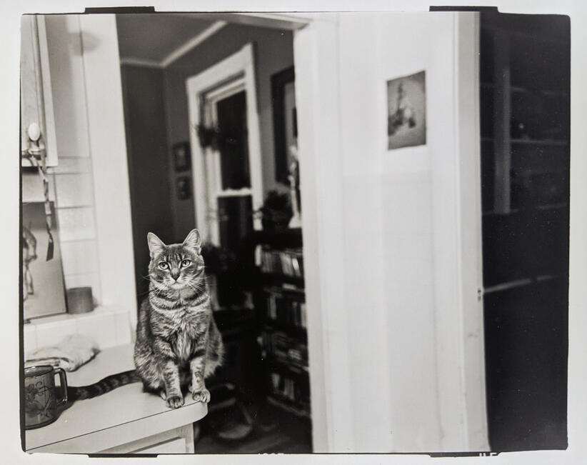 Untitled Untitled