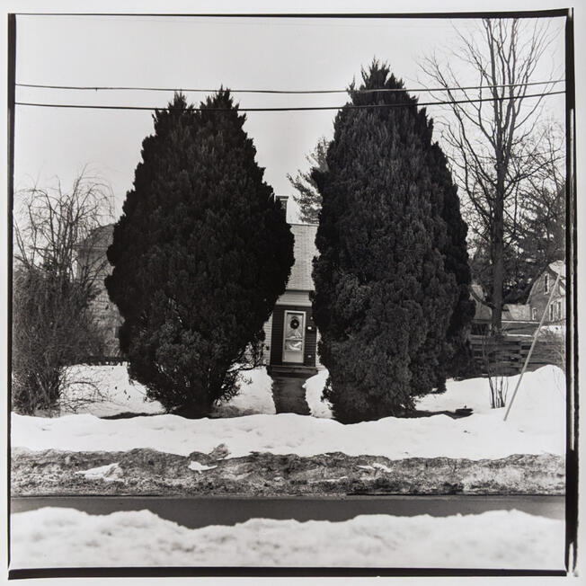 Untitled Untitled