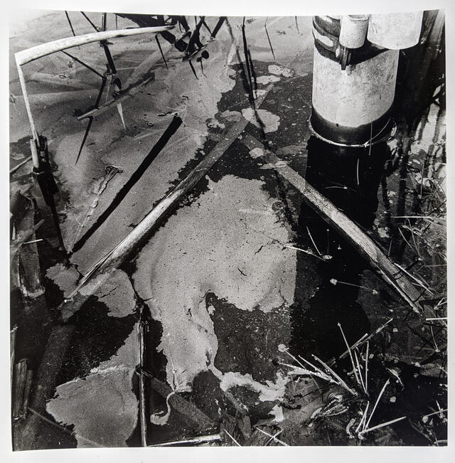 Untitled Untitled