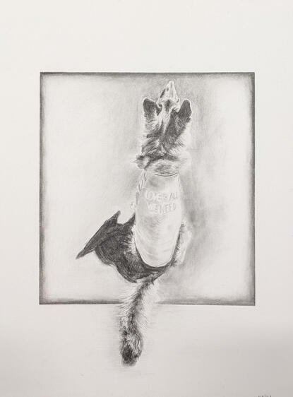 Untitled Untitled